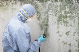 Union Springs, AL Mold Inspection Company